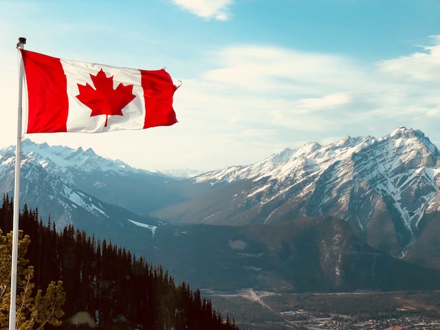 A juharfa levele Kanada nemzeti szimbóluma.